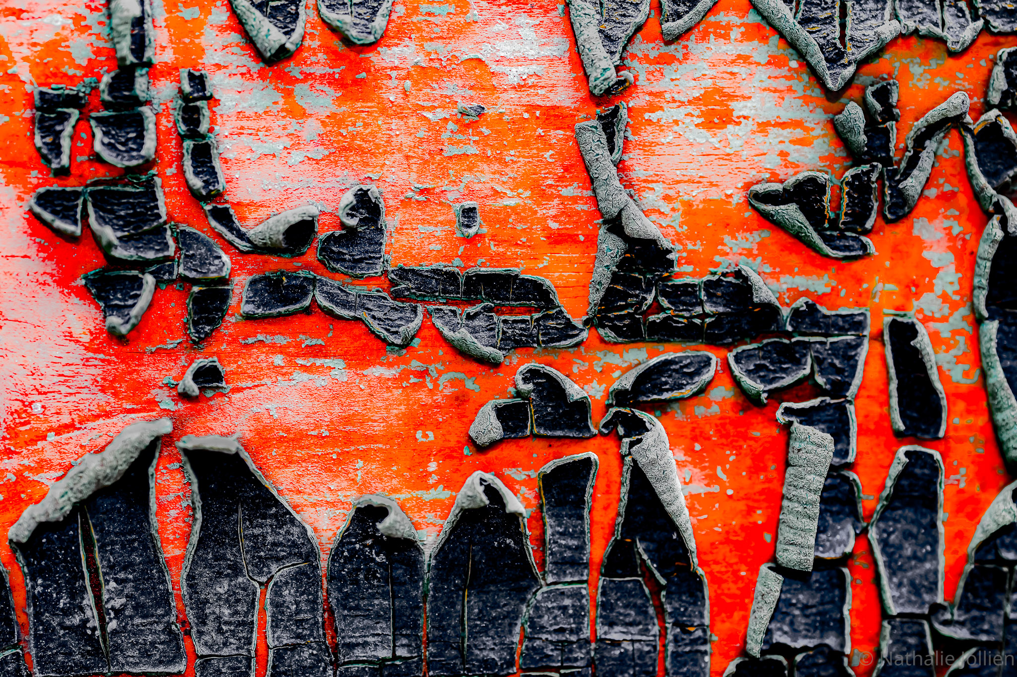 Bois - Nikon (137)-221-49