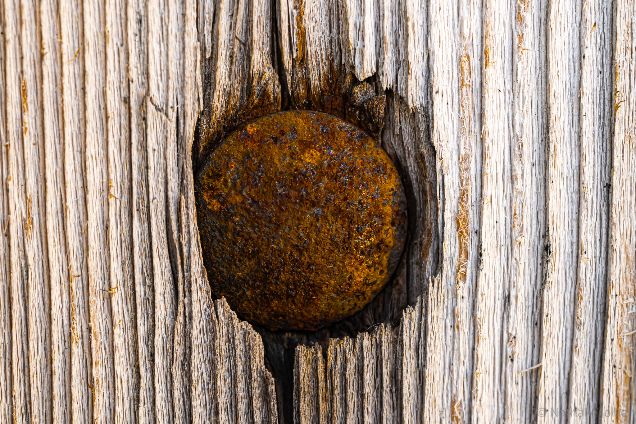 Bois - Nikon 1607-105