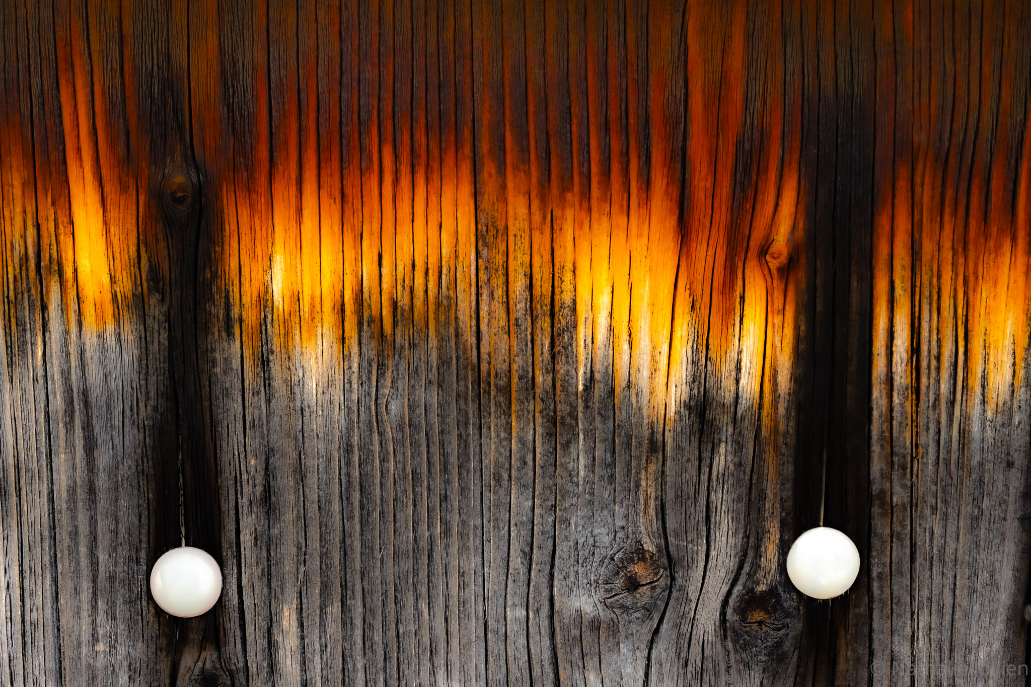 Bois - Nikon 1654-110