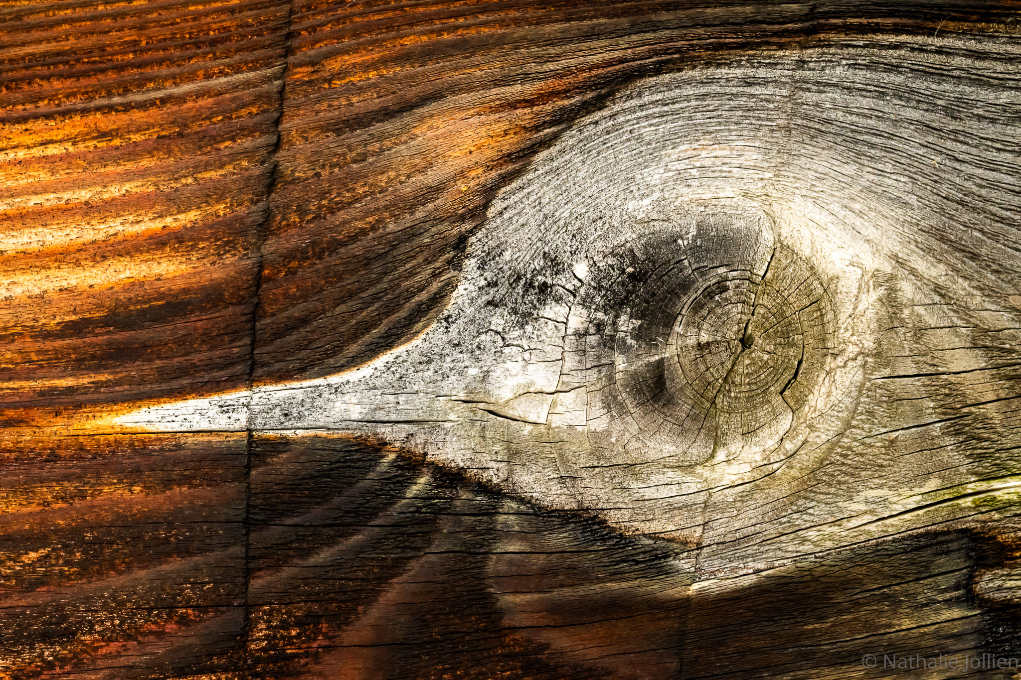 Bois - Nikon 1688-113