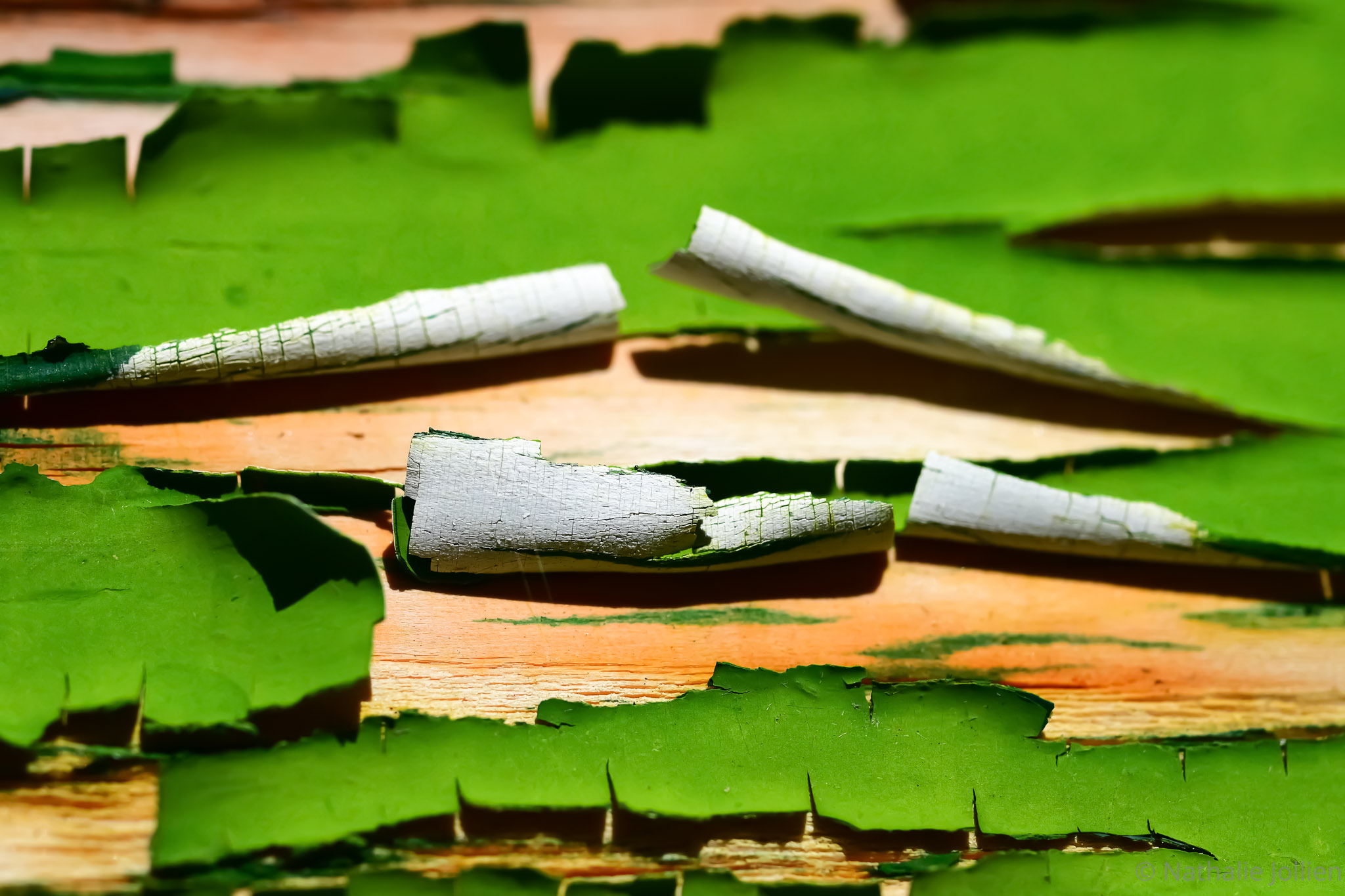 Bois - Nikon (241)-396-81