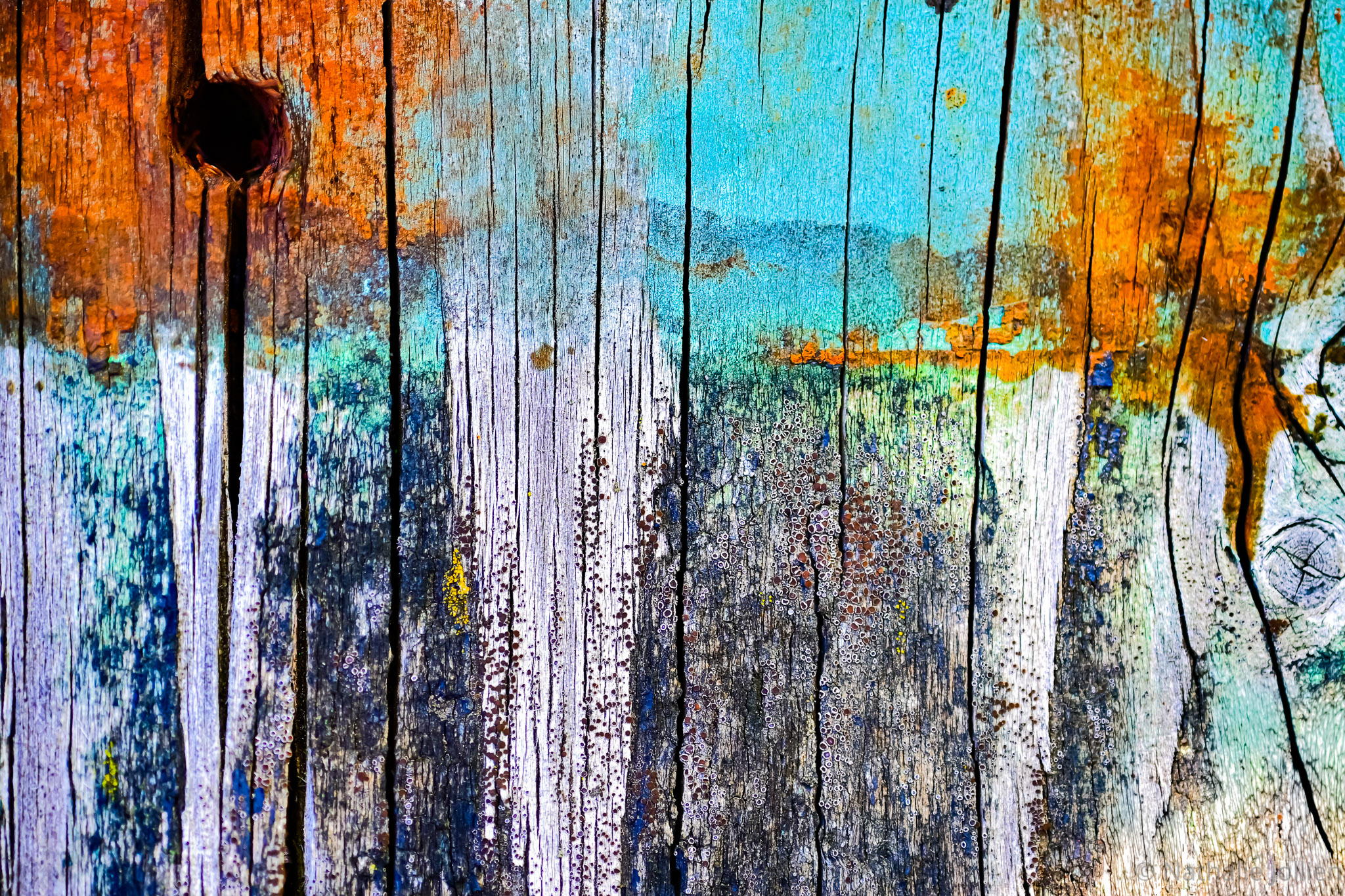 Bois - Nikon (89)-145-29