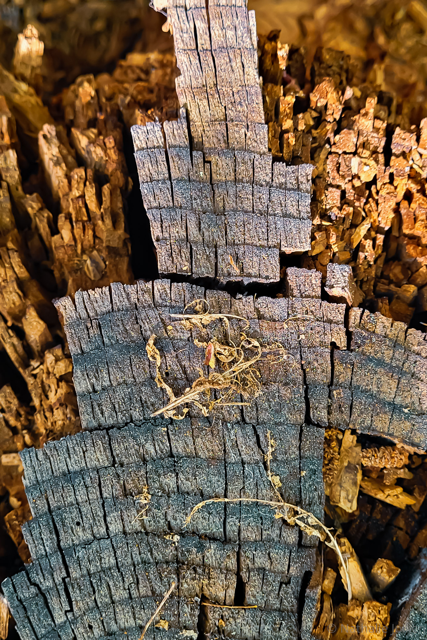 Bois-Samsung (29)-41-17