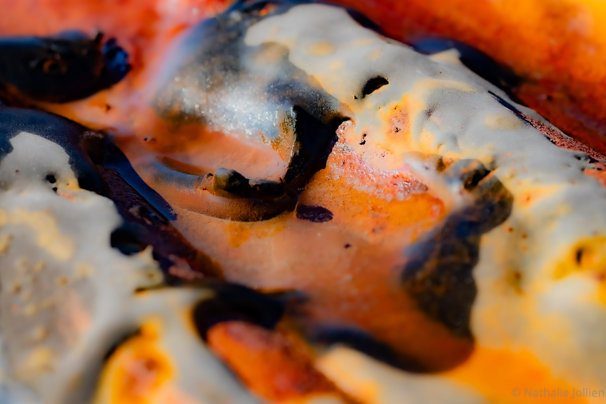 Métal - Nikon (18)-39-10