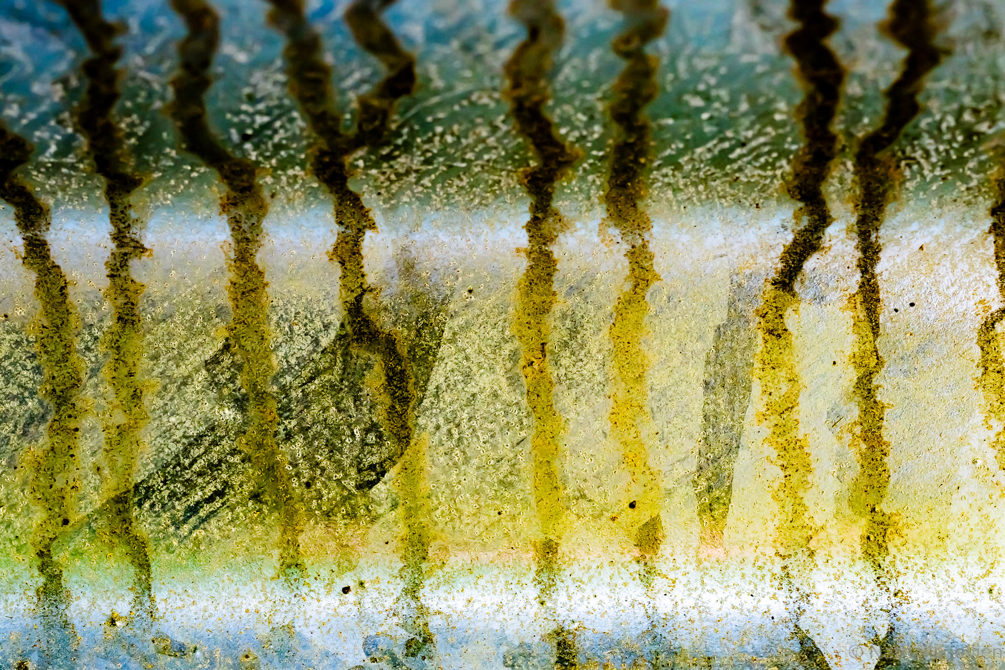 Métal - Nikon (2)-3-1