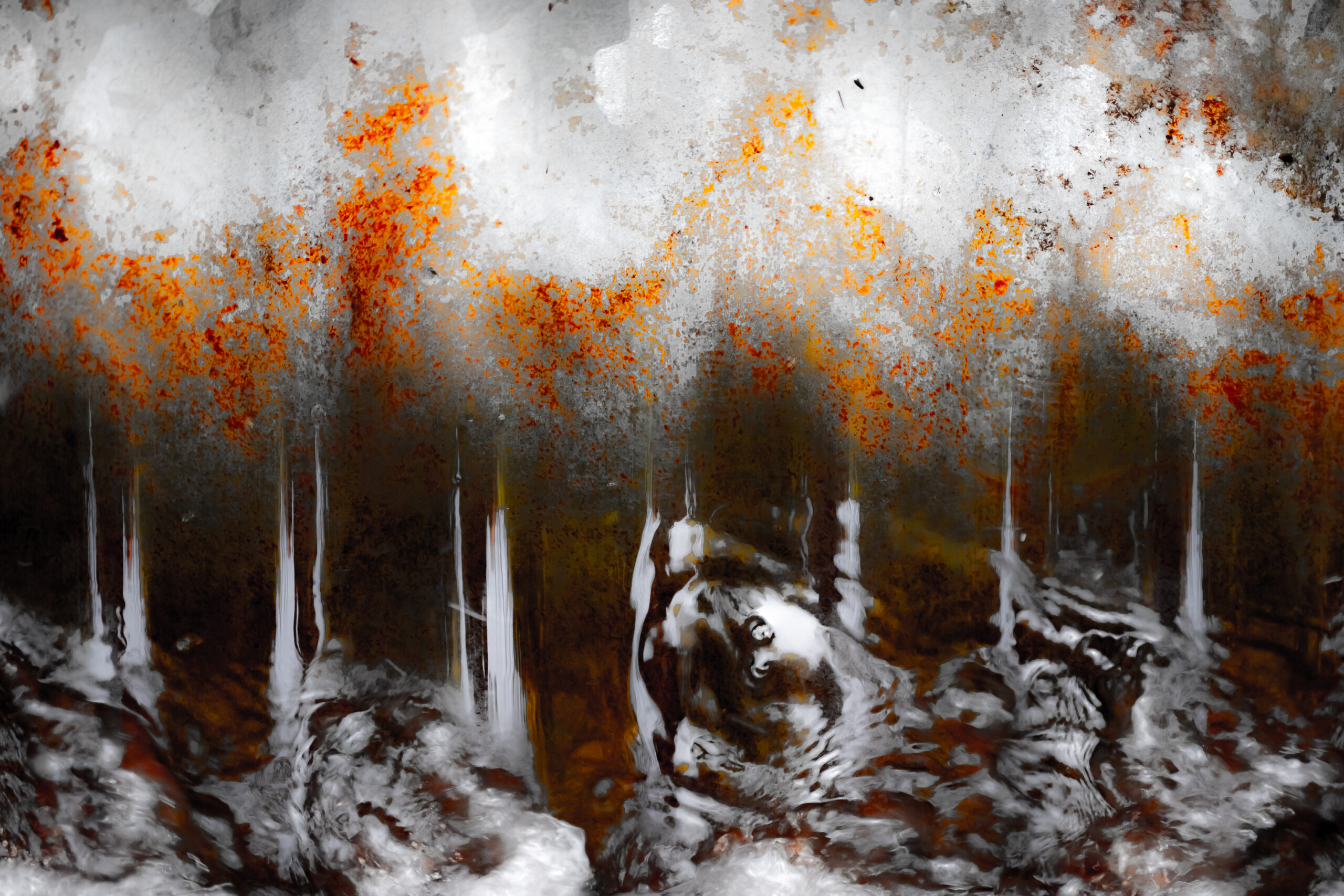 Métal - Nikon (28)-62-1